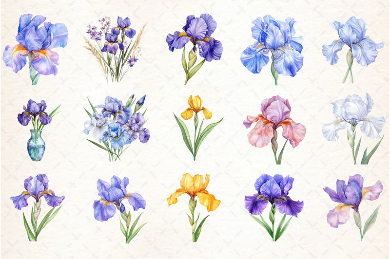 Iris Flower Clipart Bundle - CraftNest - Digital Crafting and Art