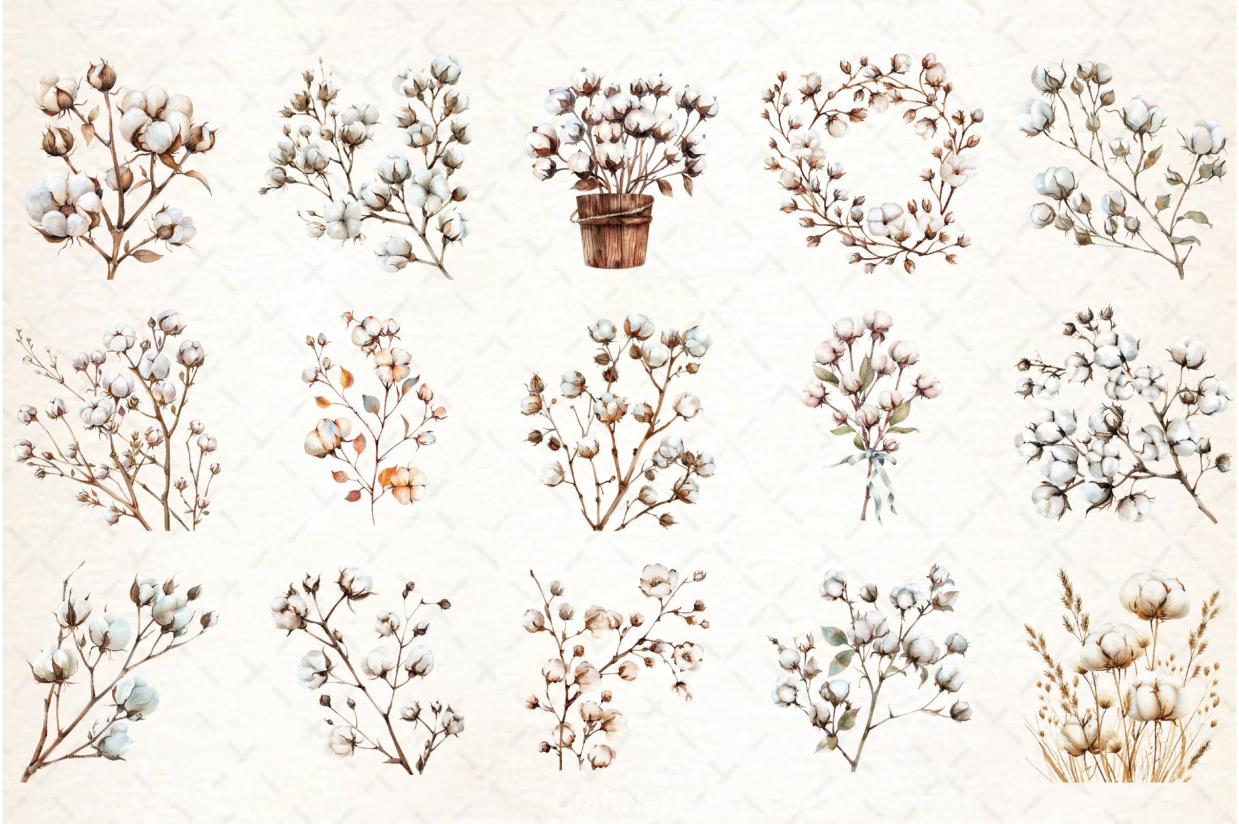 Cotton Branches Clipart Bundle - CraftNest - Digital Crafting and Art