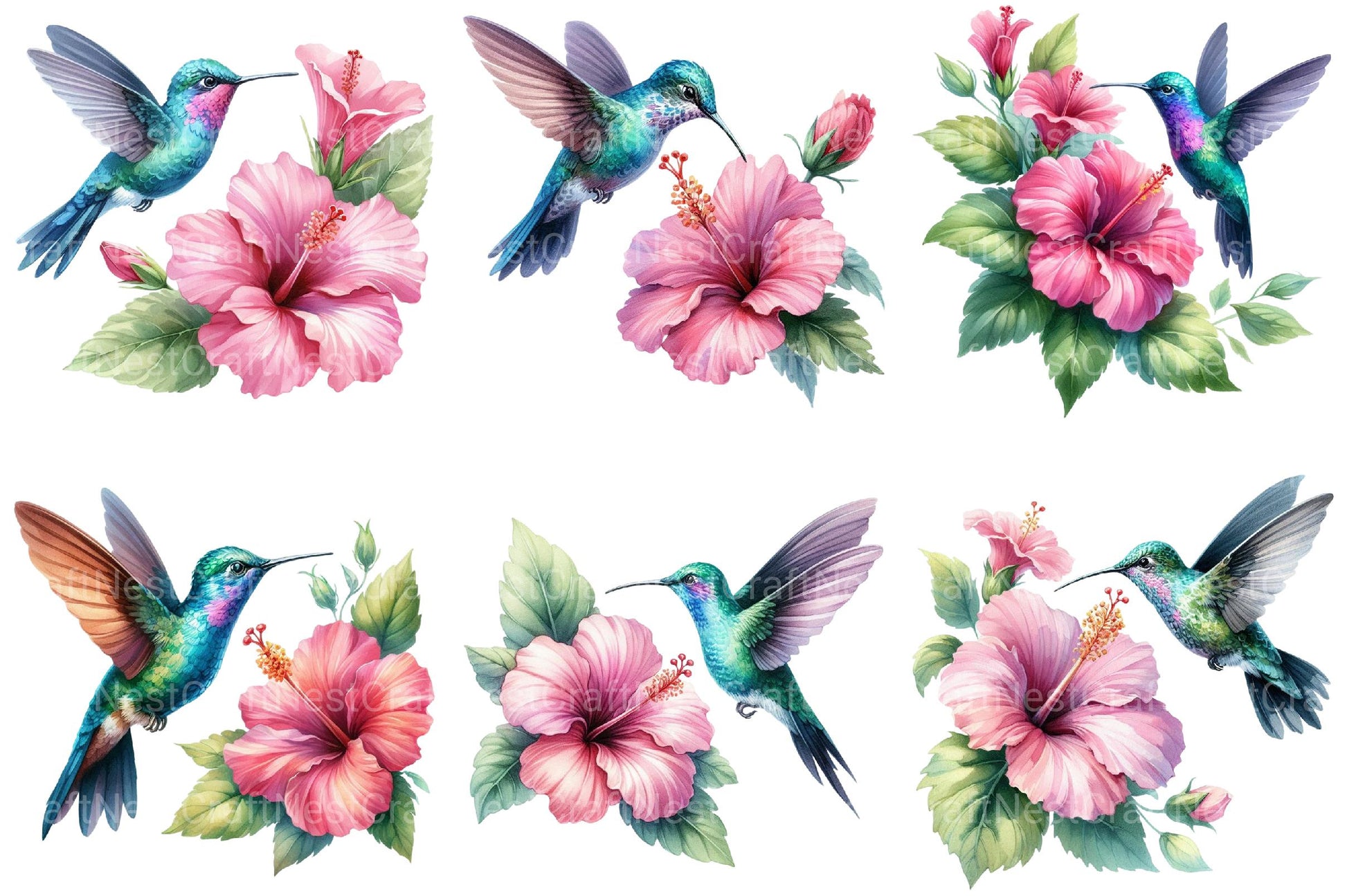 Floral Hummingbirds Clipart - CraftNest - Digital Crafting and Art