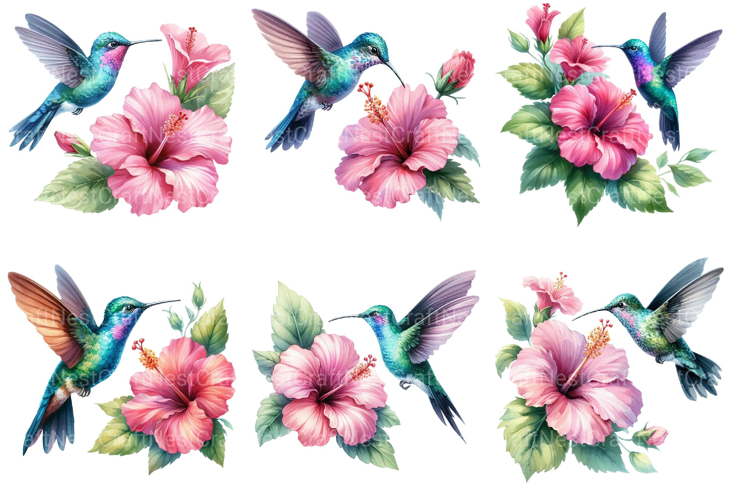 Floral Hummingbirds Clipart - CraftNest - Digital Crafting and Art