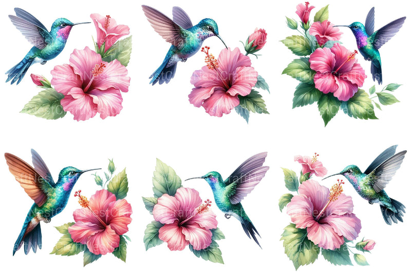 Floral Hummingbirds Clipart - CraftNest - Digital Crafting and Art