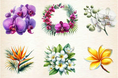 Hawaiian Flowers Clipart Bundle - CraftNest - Digital Crafting and Art