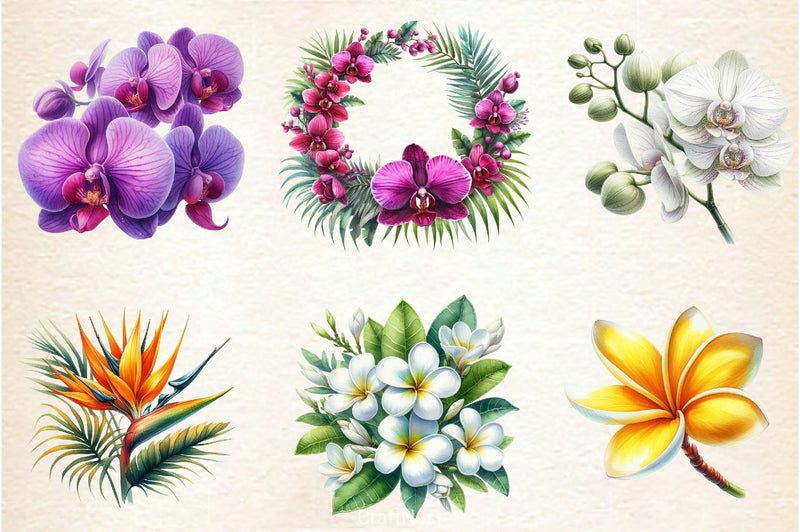 Hawaiian Flowers Clipart Bundle - CraftNest - Digital Crafting and Art