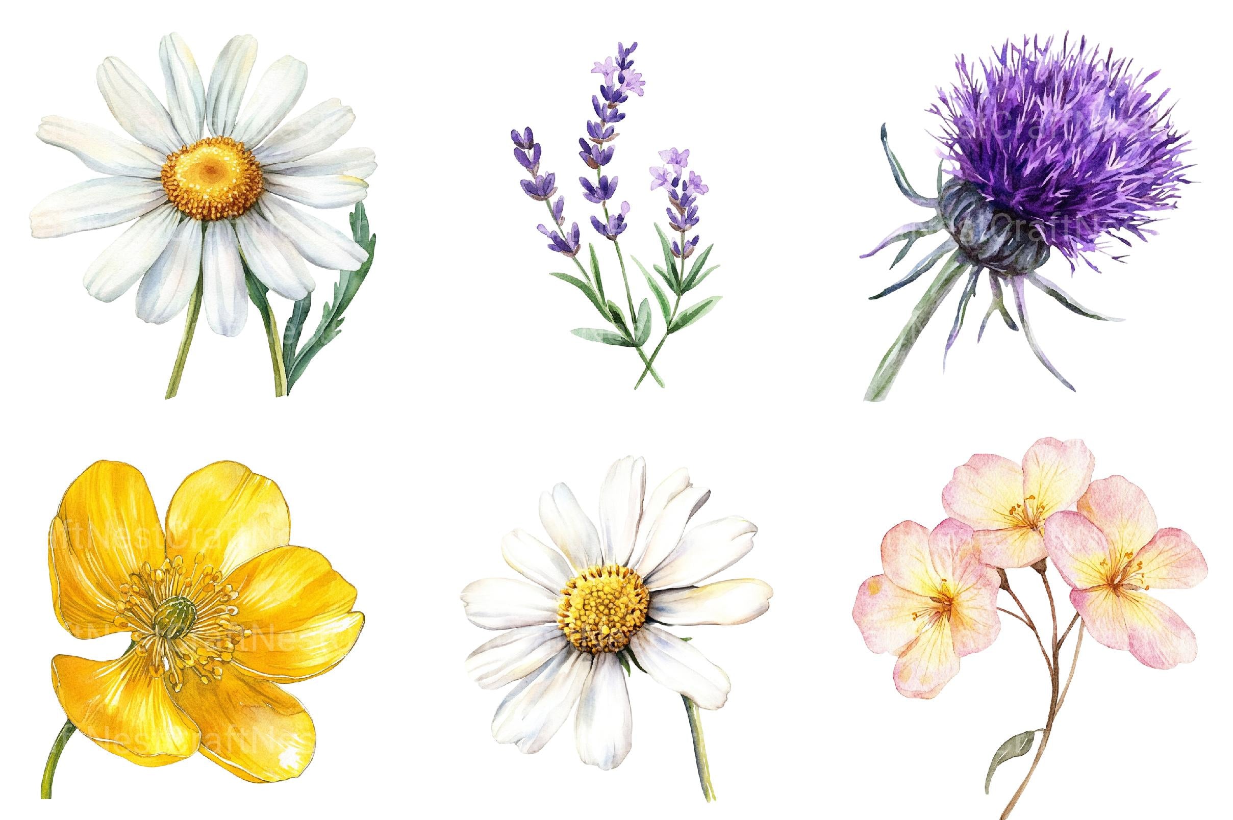 Well Defined Wildflower Clipart - CraftNest - Digital Crafting and Art