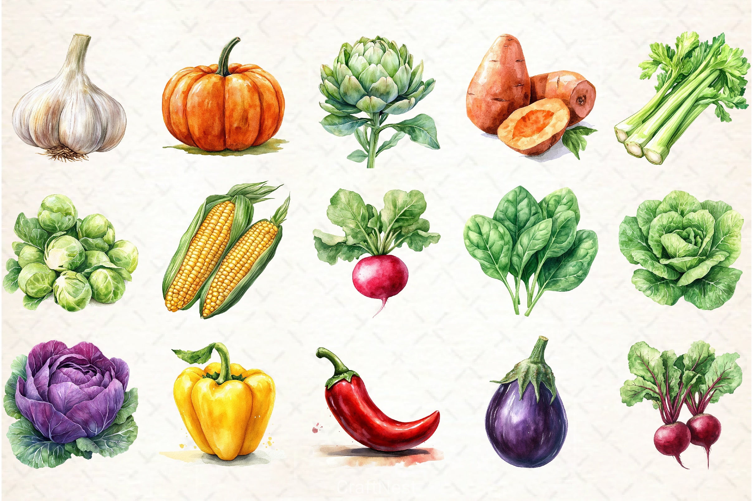 Vegetables Clipart Bundle 6 - CraftNest - Digital Crafting and Art