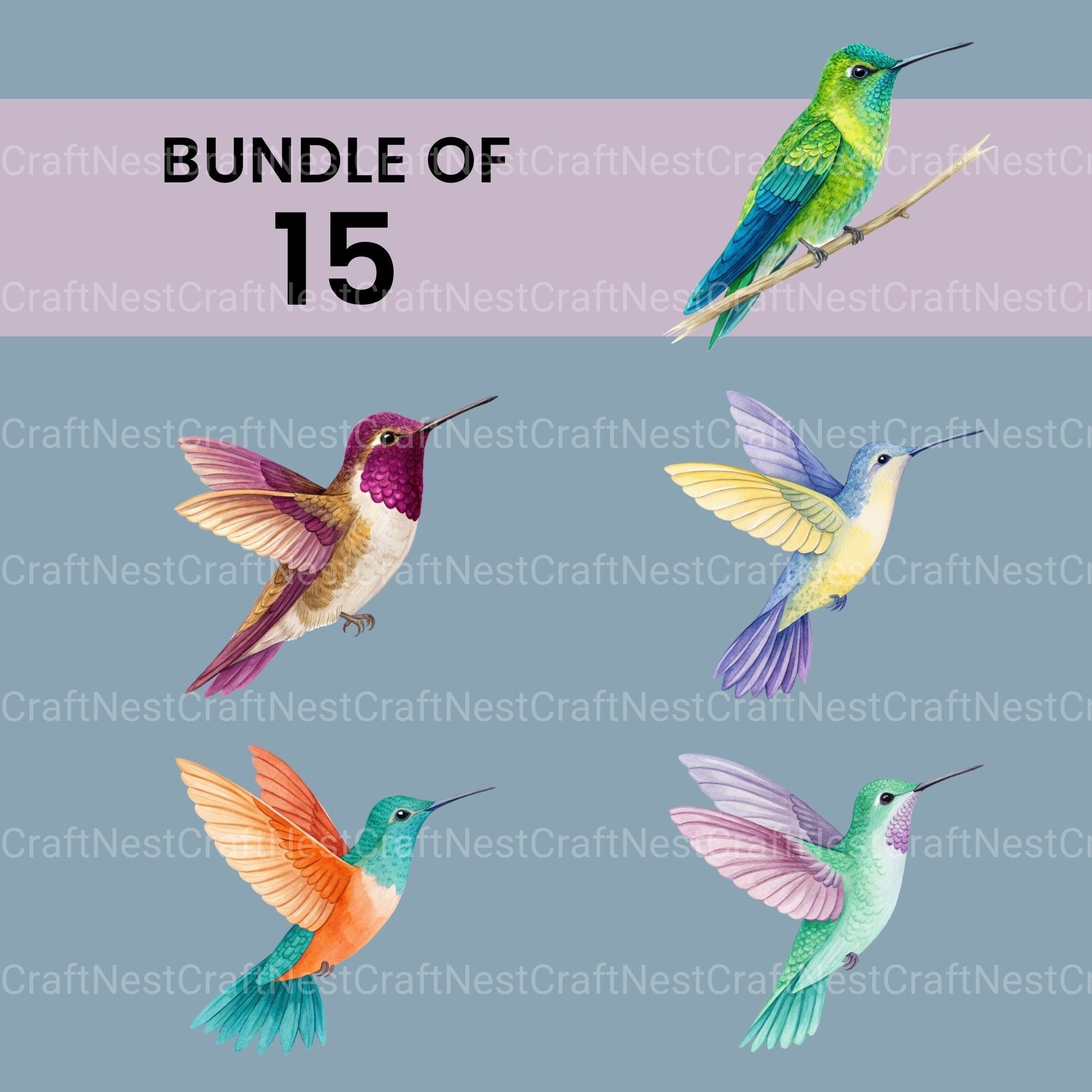 Hummingbirds Clipart Bundle - CraftNest - Digital Crafting and Art
