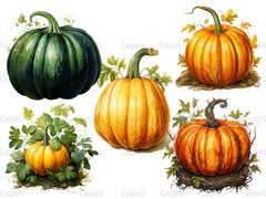 Pumpkin Varieties Clipart - CraftNest