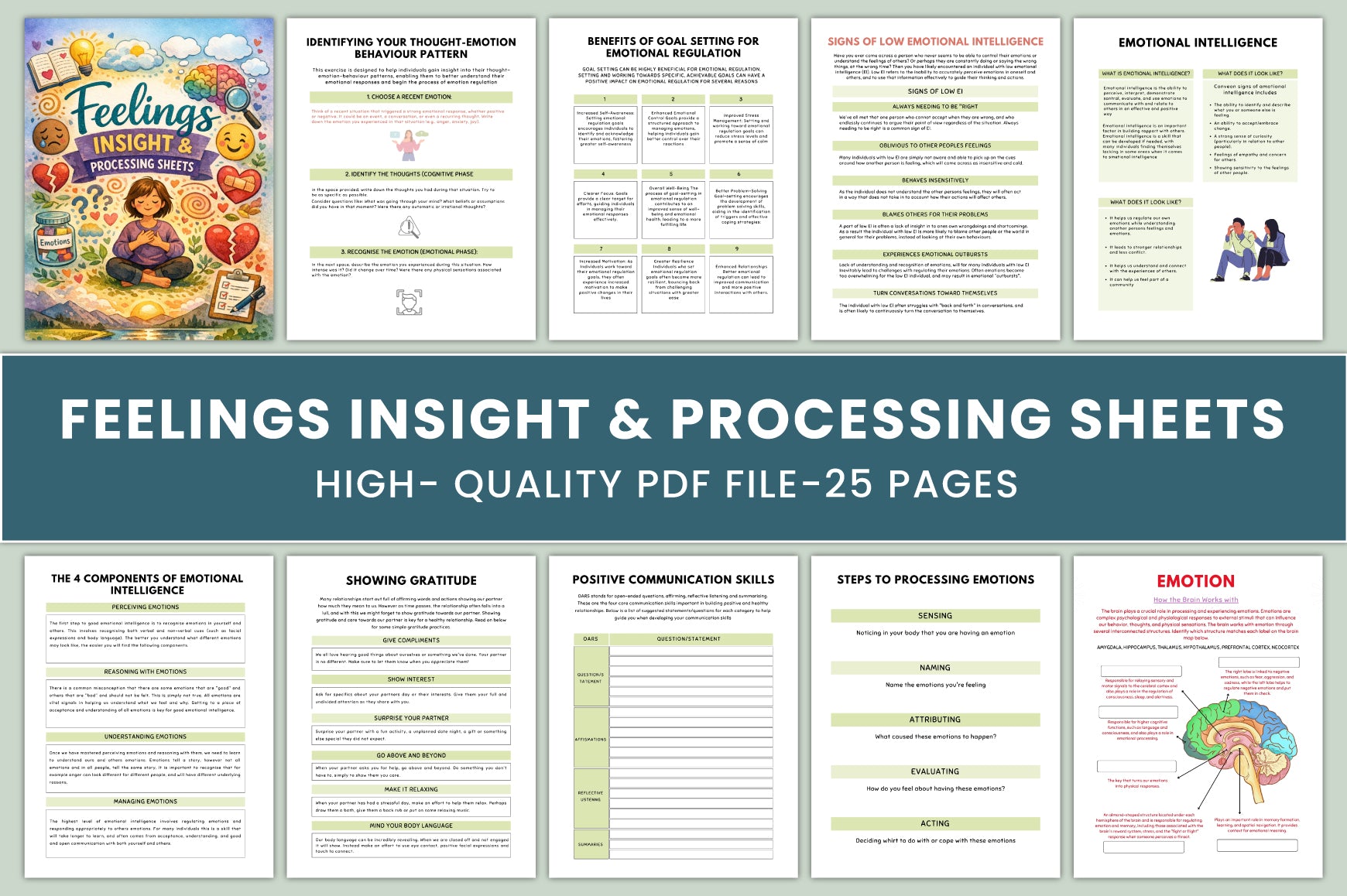 Feelings Insight Processing Sheets Journal