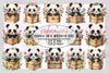 Panda In A Wooden Box Clipart Bundle