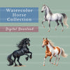 Horses Clipart Bundle 3