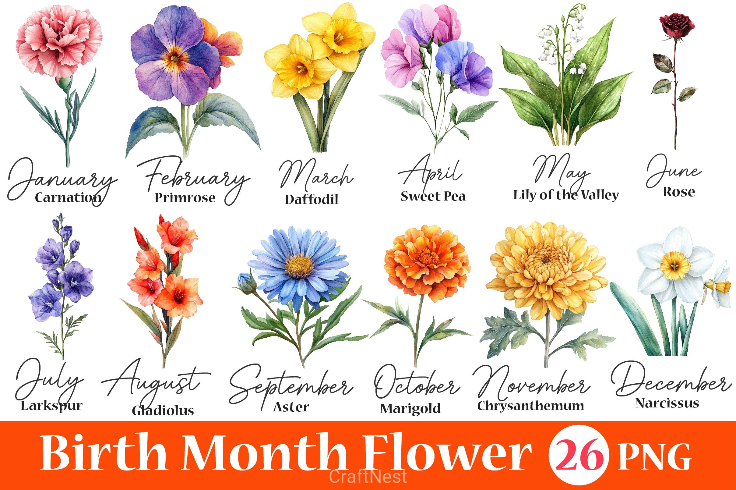 26 Birth Month Flowers Clipart Bundle - CraftNest - Digital Crafting and Art