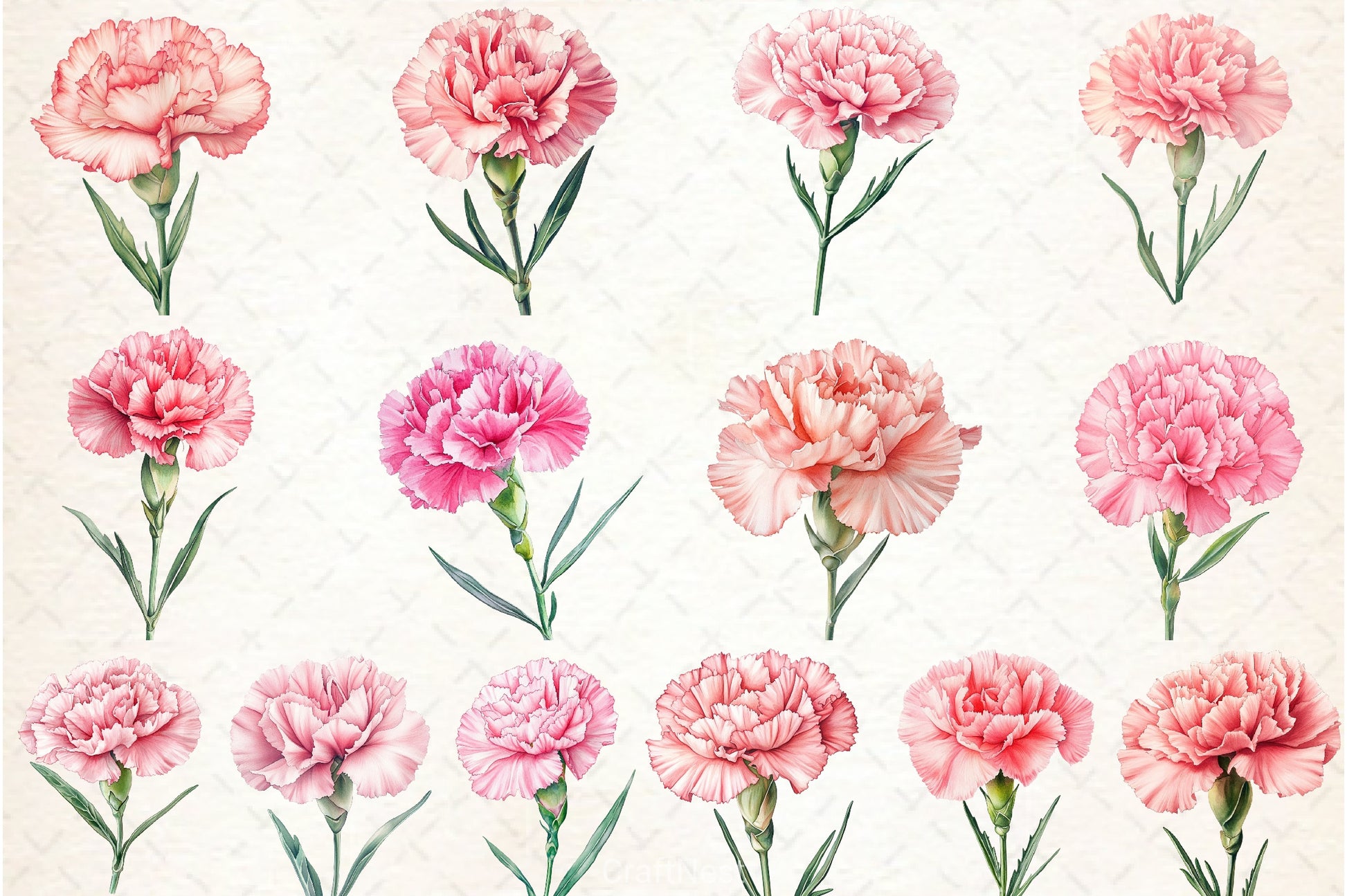 Carnation Flower Clipart Bundle - CraftNest - Digital Crafting and Art