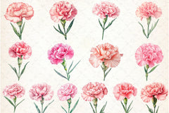 Carnation Flower Clipart Bundle - CraftNest - Digital Crafting and Art