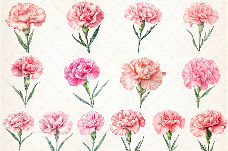 Carnation Flower Clipart Bundle - CraftNest - Digital Crafting and Art