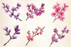Spring Redbud Flower Clipart Bundle 2 - CraftNest - Digital Crafting and Art