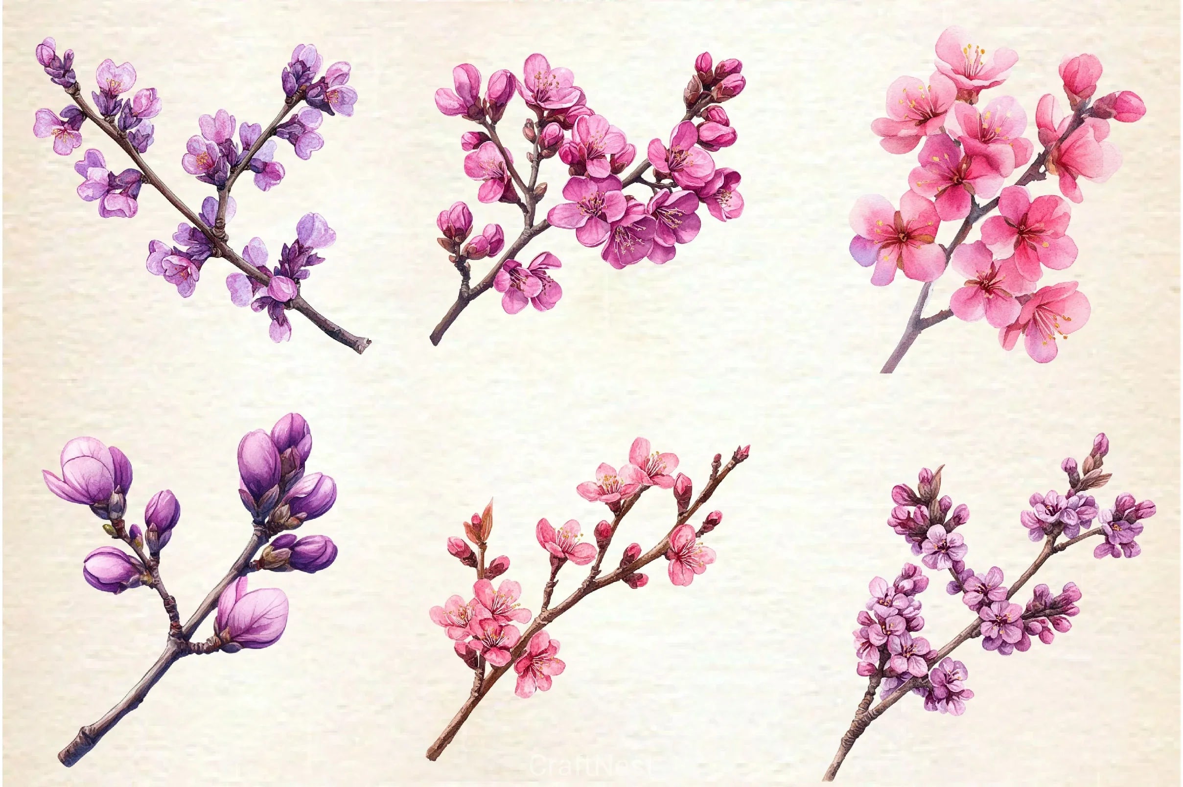 Spring Redbud Flower Clipart Bundle 2 - CraftNest - Digital Crafting and Art