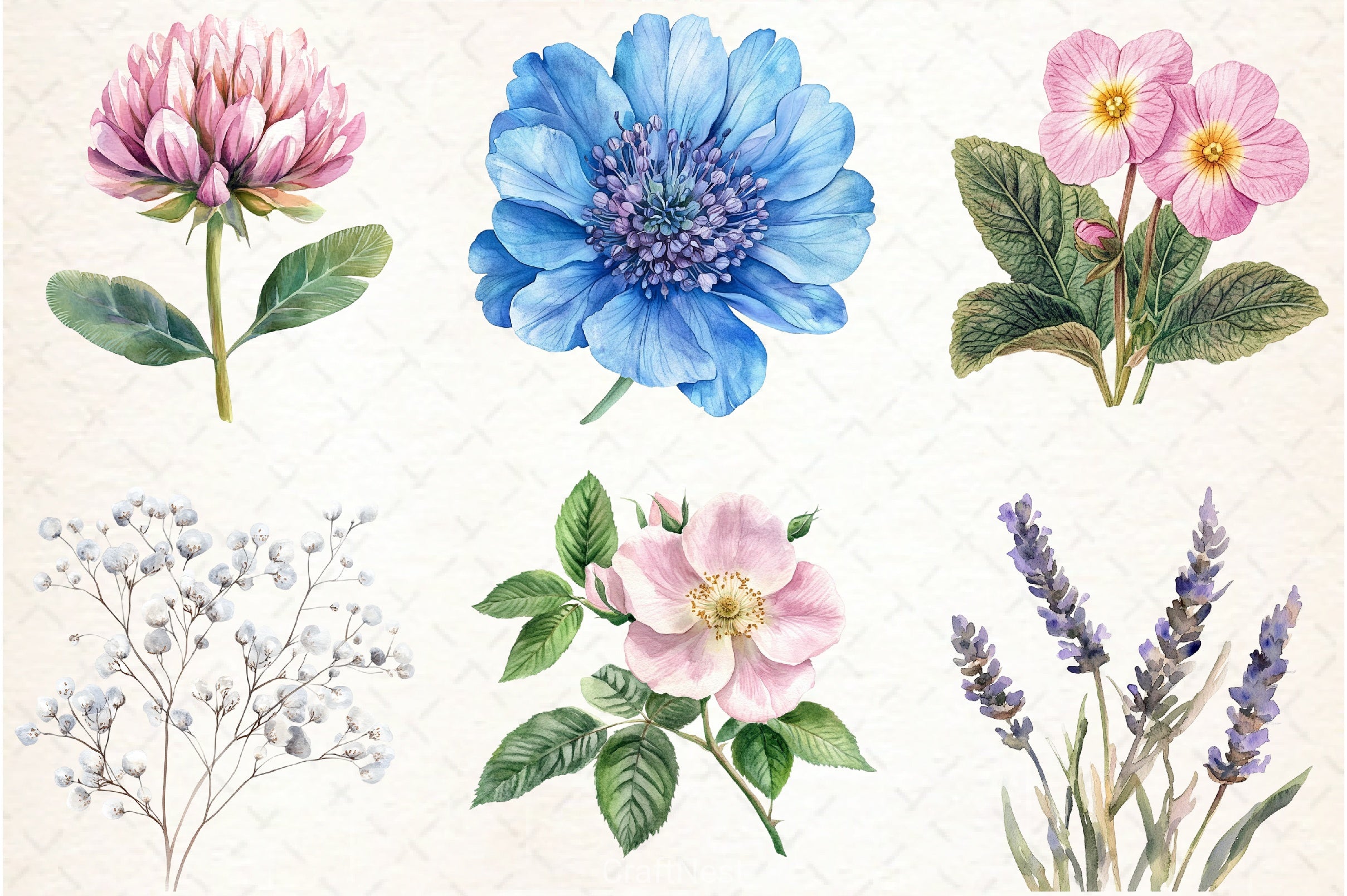 Wild Flower Clipart Bundle - CraftNest - Digital Crafting and Art