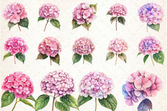 Hydrangea Clipart Bundle 12 - CraftNest - Digital Crafting and Art