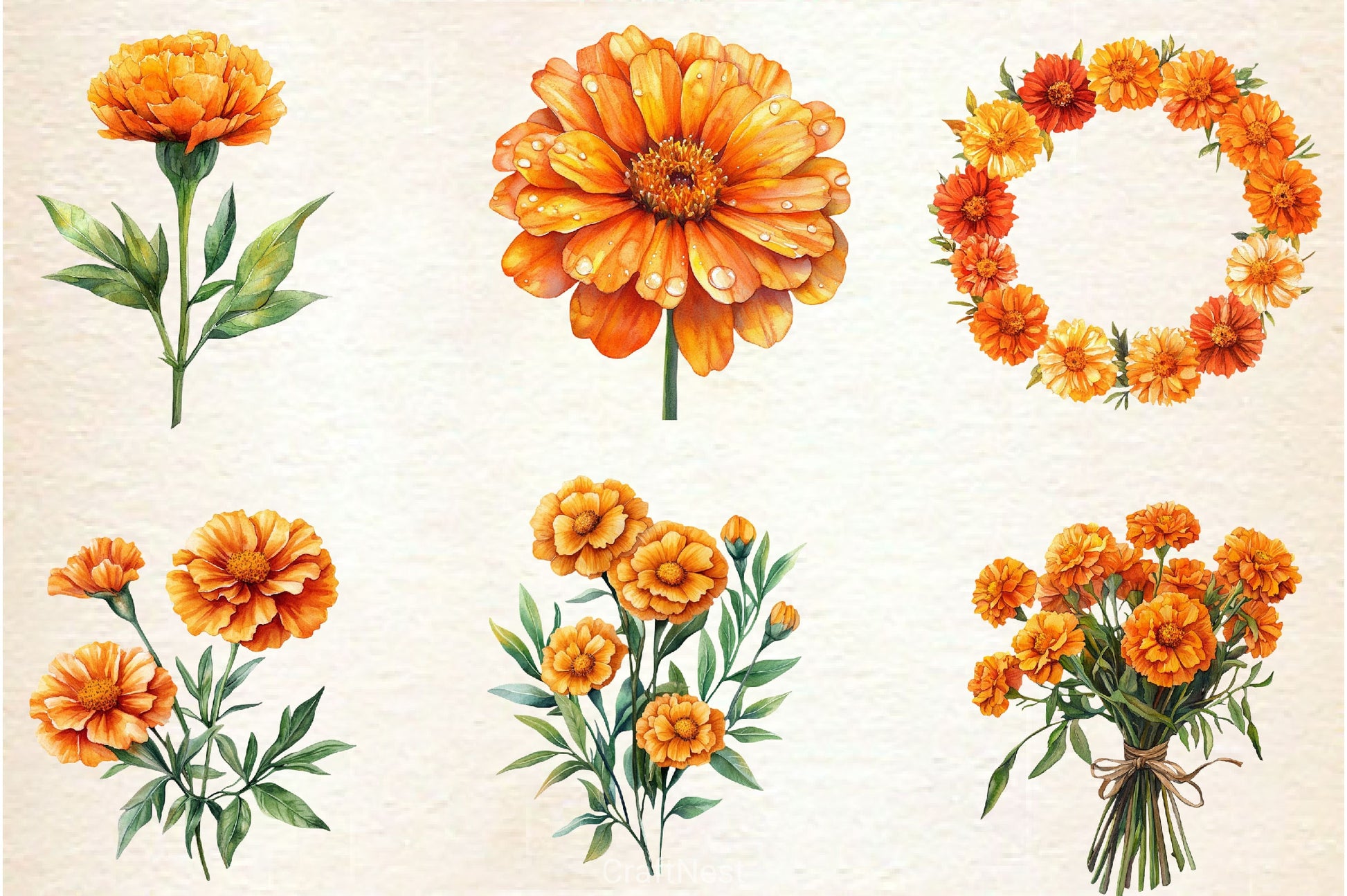 Marigold Clipart Bundle 3 - CraftNest - Digital Crafting and Art