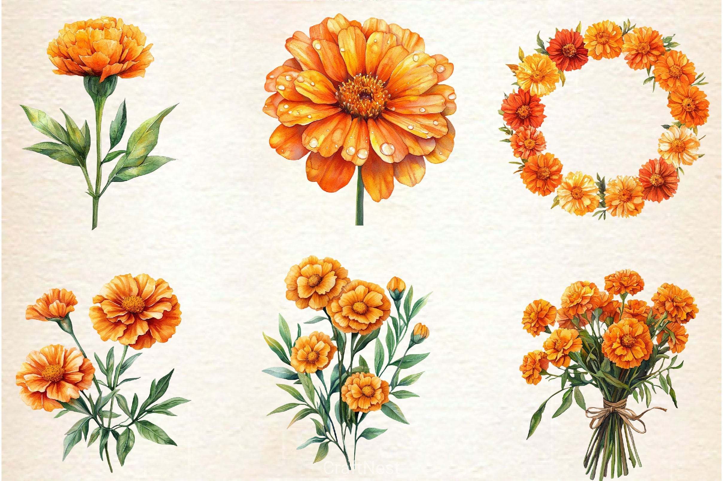 Marigold Clipart Bundle 3 - CraftNest - Digital Crafting and Art
