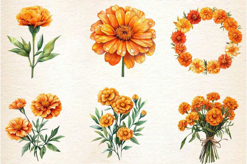 Marigold Clipart Bundle 3 - CraftNest - Digital Crafting and Art
