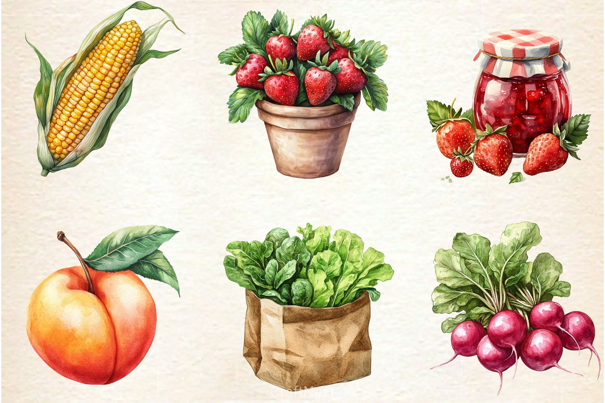 Farmer's Market Clipart Bundle - CraftNest - Digital Crafting and Art