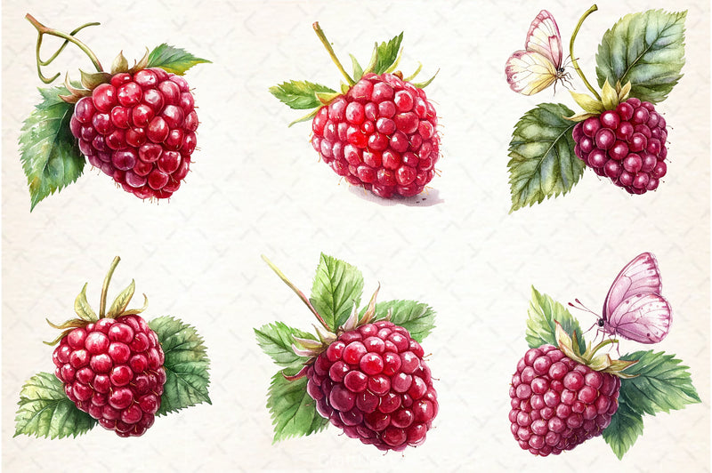 Raspberry Clipart Bundle 52 - CraftNest - Digital Crafting and Art