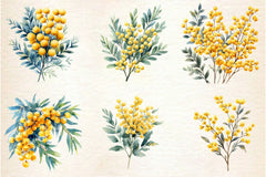 Mimosa Flower Clipart Bundle 2 - CraftNest - Digital Crafting and Art