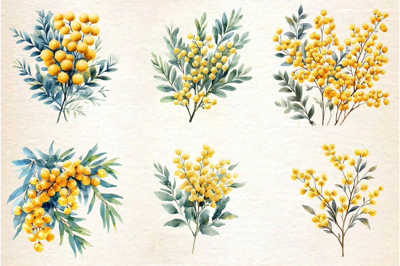 Mimosa Flower Clipart Bundle 2 - CraftNest - Digital Crafting and Art