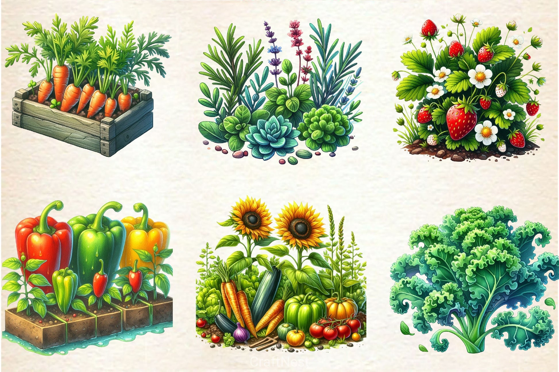 Garden Patch Clipart Bundle - CraftNest - Digital Crafting and Art