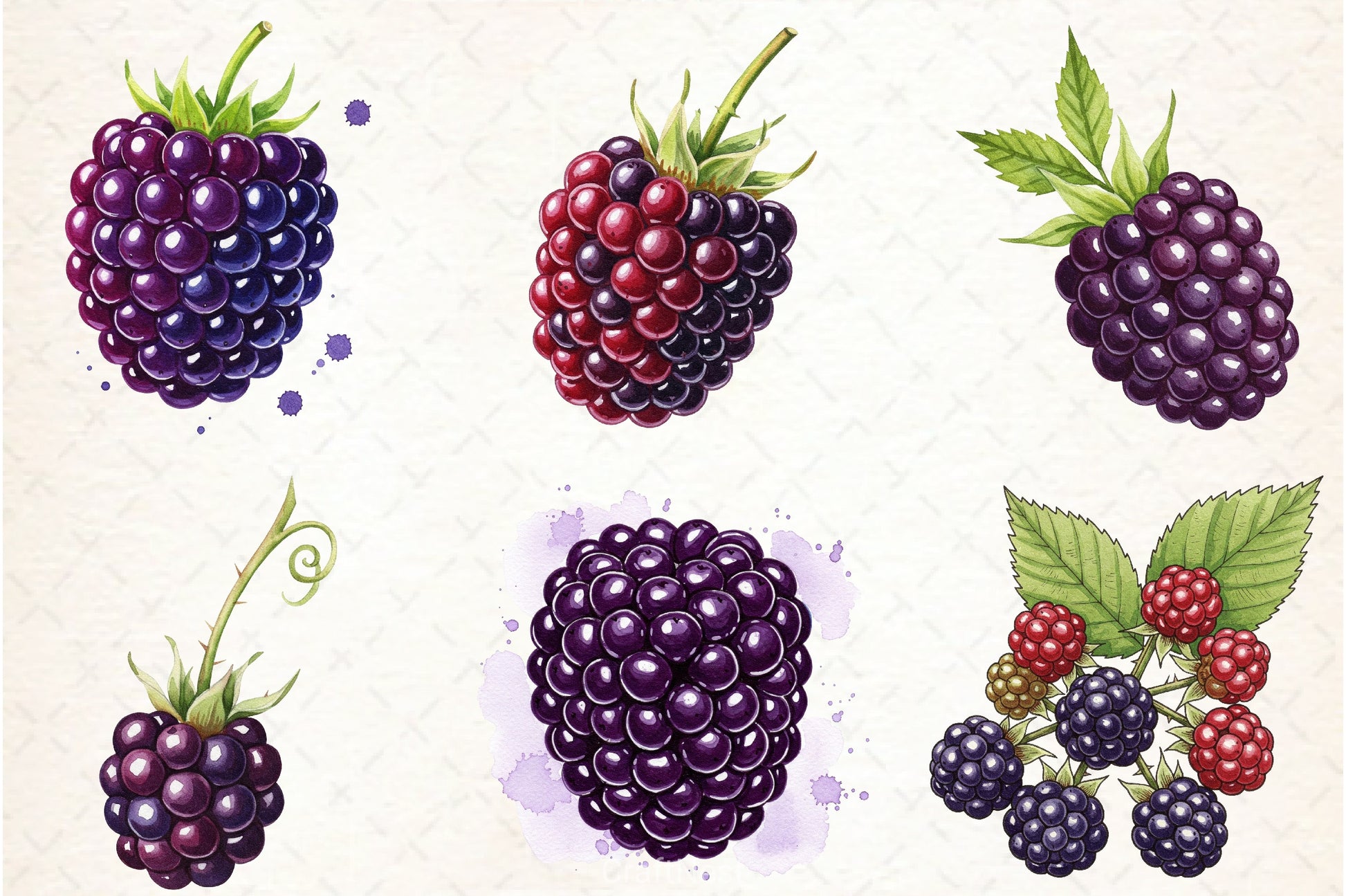 Blackberry Clipart Bundle 2 - CraftNest - Digital Crafting and Art