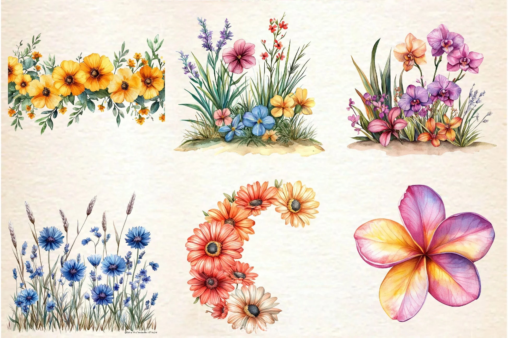 Summer Flower Border Clipart Bundle - CraftNest - Digital Crafting and Art