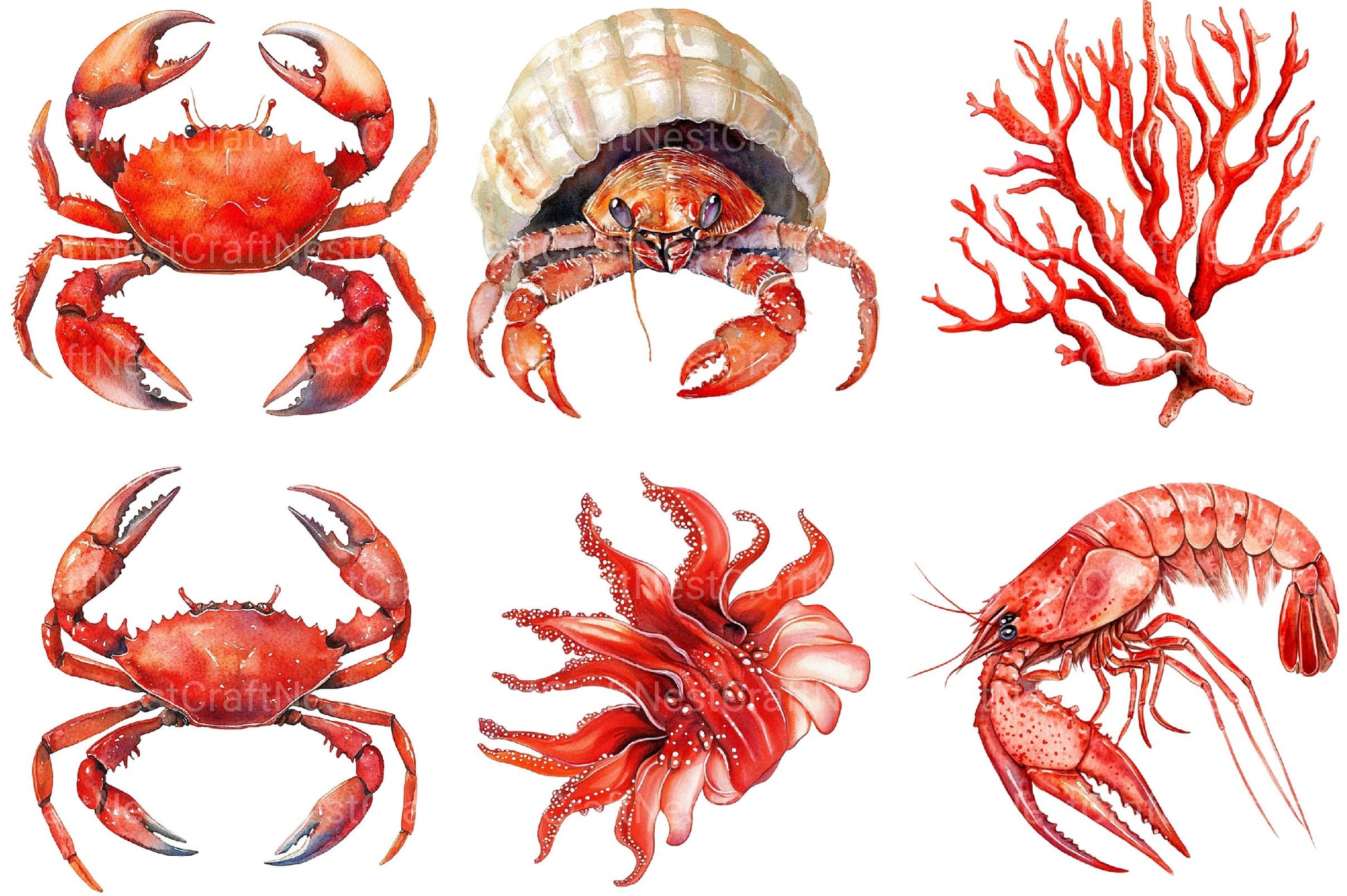 Red Ocean Animals Clipart - CraftNest - Digital Crafting and Art