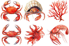 Red Ocean Animals Clipart - CraftNest - Digital Crafting and Art