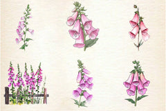 Pink Flowers Foxglove Clipart Bundle - CraftNest - Digital Crafting and Art