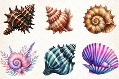 Ocean Sea Shell Clipart Bundle - CraftNest - Digital Crafting and Art