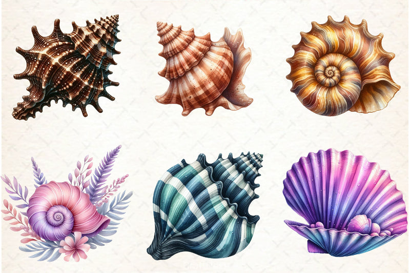 Ocean Sea Shell Clipart Bundle - CraftNest - Digital Crafting and Art