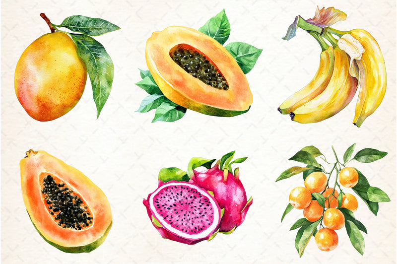 Tropical Fruit Clipart Bundle - CraftNest - Digital Crafting and Art