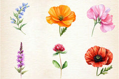 Wildflowers Clipart Bundle 3 - CraftNest - Digital Crafting and Art
