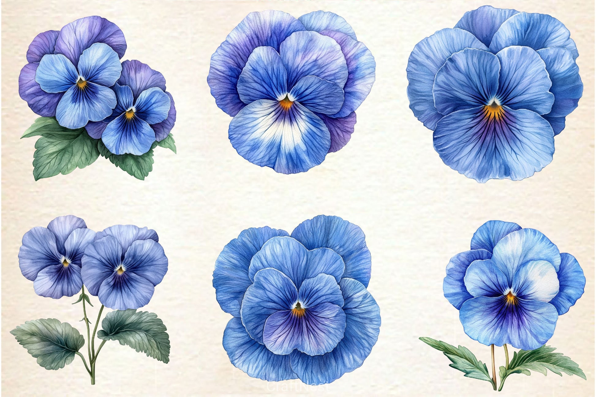 Blue Pansy Flower Clipart Bundle - CraftNest - Digital Crafting and Art
