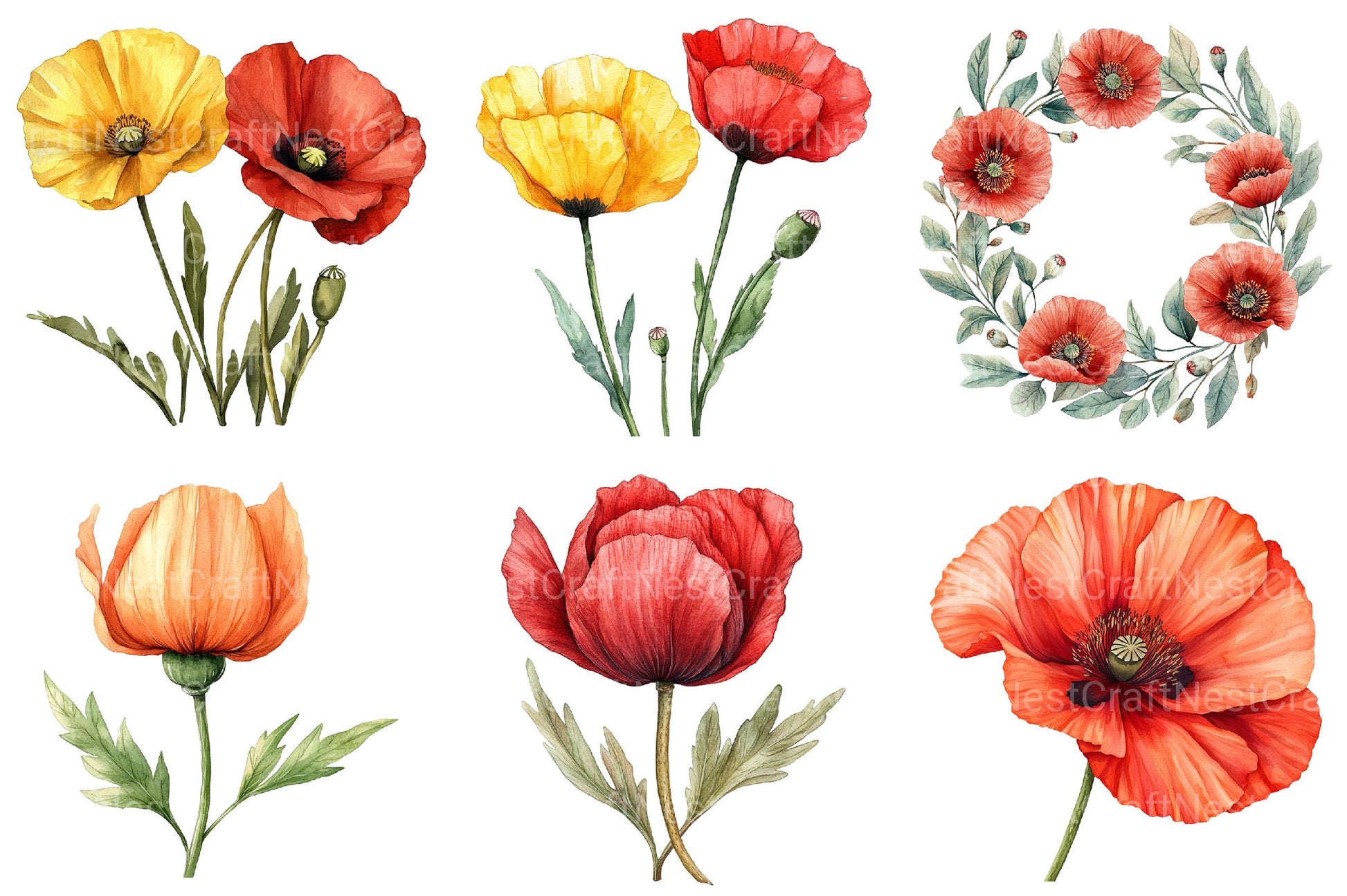 Corn Poppy Flower Bloom Clipart - CraftNest - Digital Crafting and Art