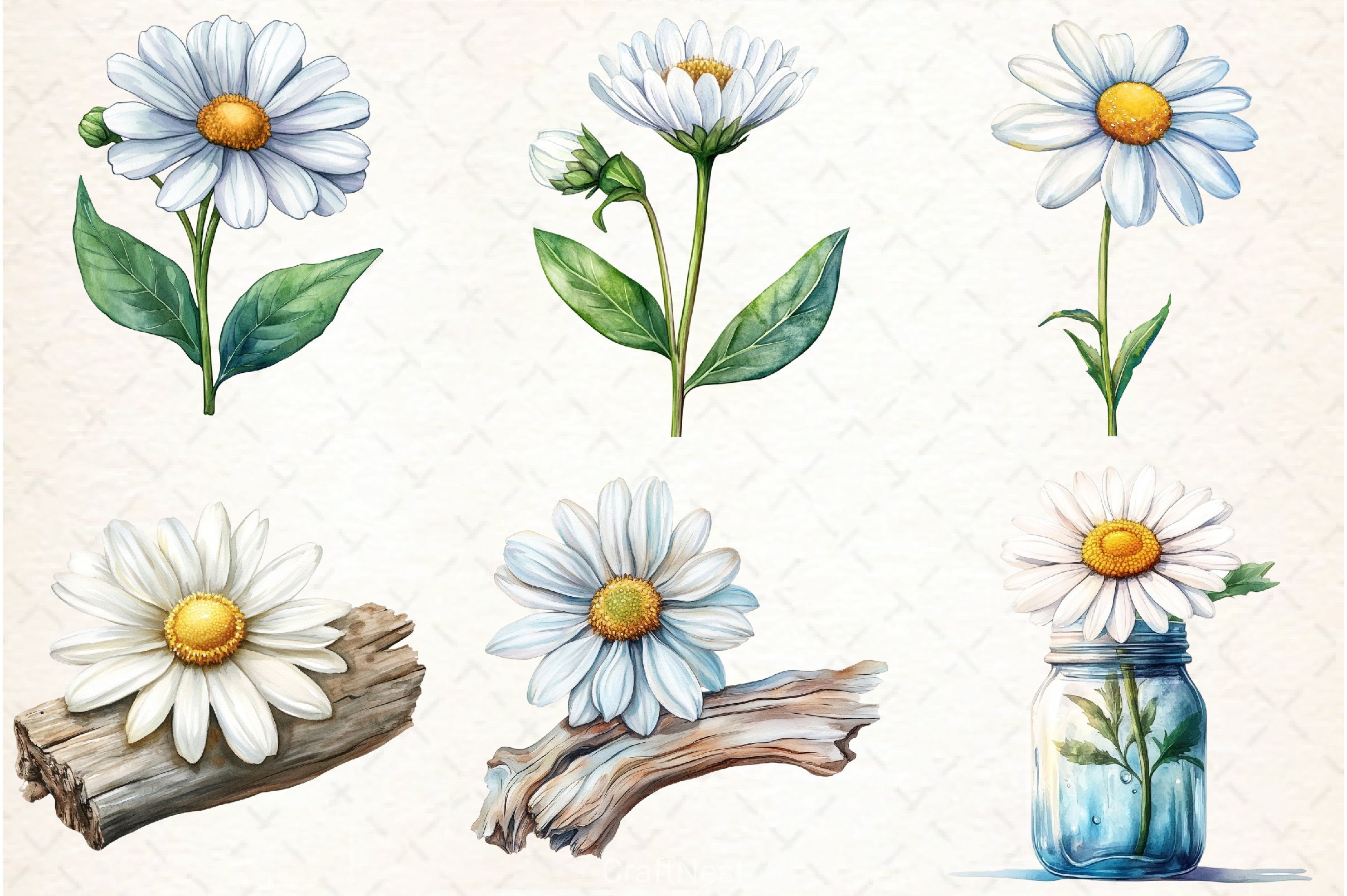 Daisy Clipart Bundle 2 - CraftNest - Digital Crafting and Art