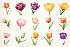 Tulip Flower Clipart Bundle - CraftNest - Digital Crafting and Art