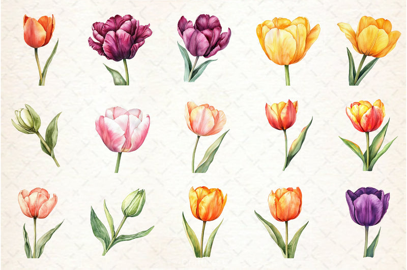 Tulip Flower Clipart Bundle - CraftNest - Digital Crafting and Art