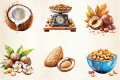 Nuts Clipart Bundle 2 - CraftNest - Digital Crafting and Art