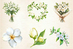 Spring Jasmine Flower Clipart Bundle 5 - CraftNest - Digital Crafting and Art