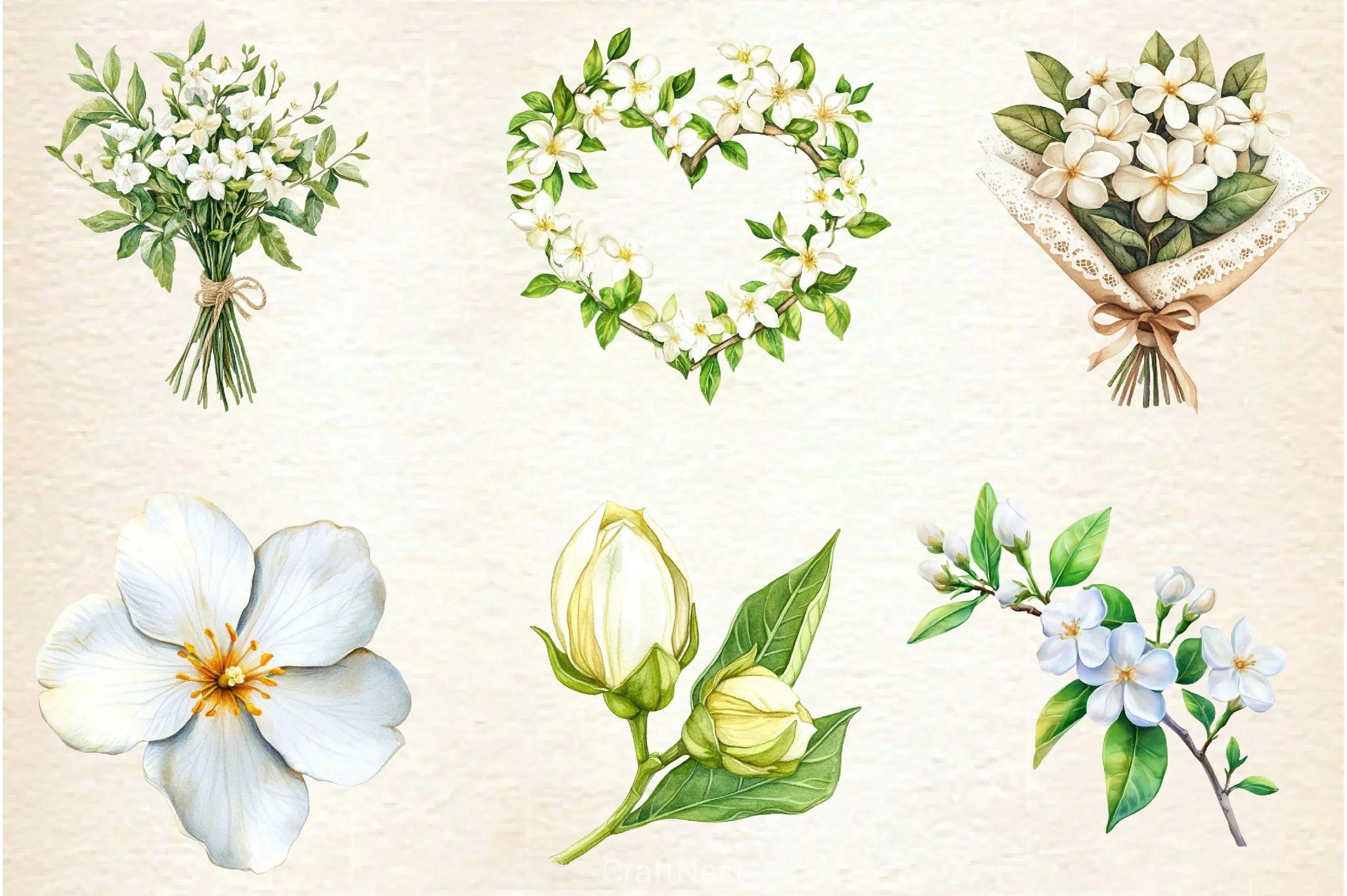 Spring Jasmine Flower Clipart Bundle 5 - CraftNest - Digital Crafting and Art