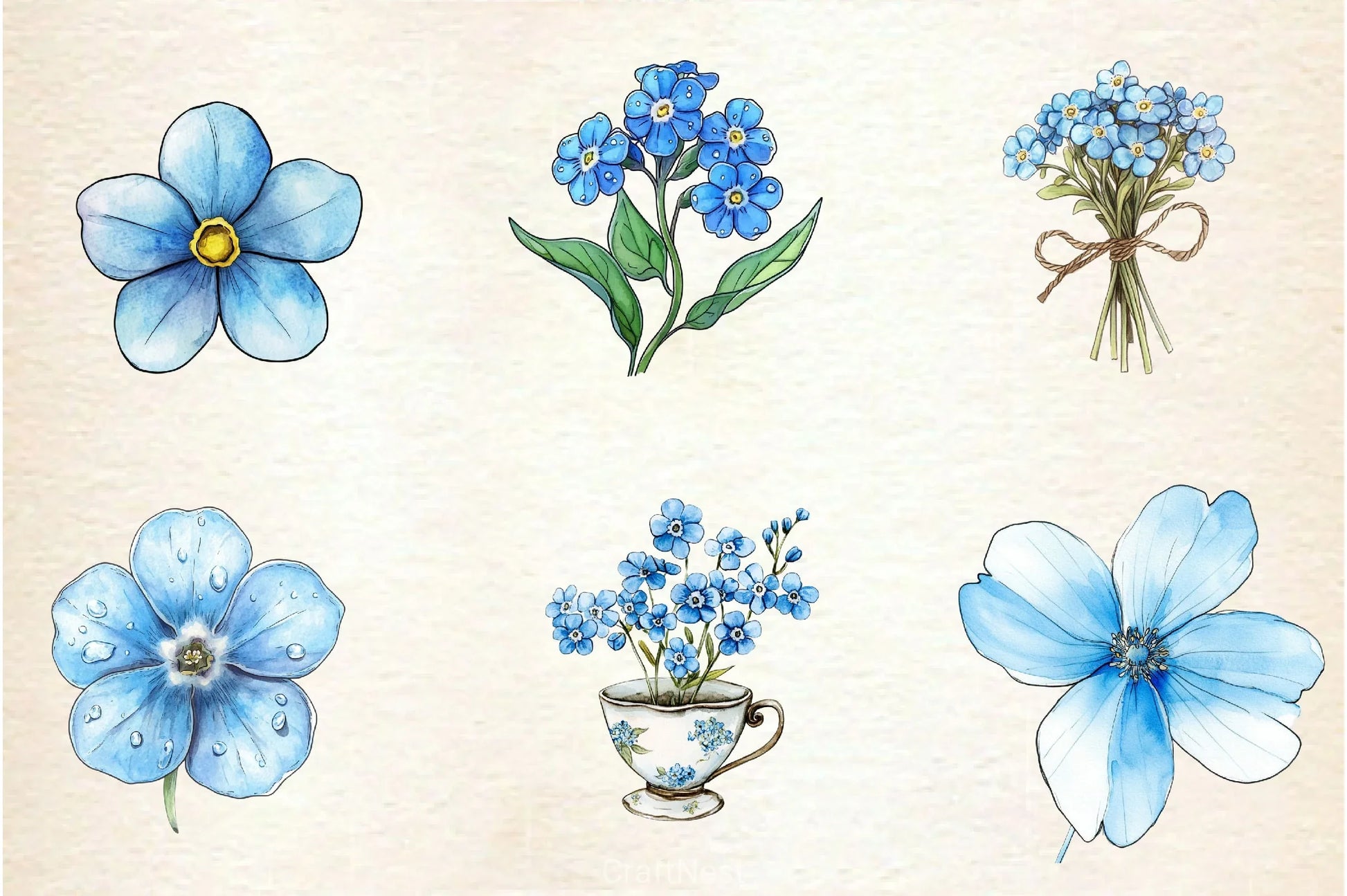 Forget Me Not Flower Bloom Clipart Bundle - CraftNest - Digital Crafting and Art
