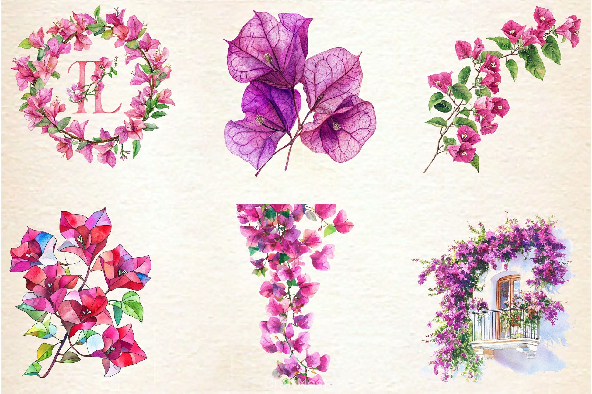 Bougainvillea Flower Clipart Bundle 3 - CraftNest - Digital Crafting and Art