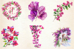 Bougainvillea Flower Clipart Bundle 3 - CraftNest - Digital Crafting and Art